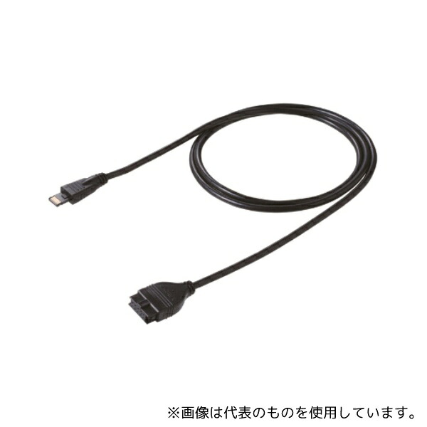 緑であること活動の領域