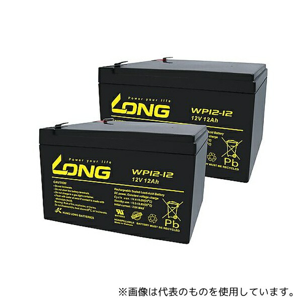 LONG BATTERY WP12-12 制御弁式鉛蓄電池 UPS・非常電源用バッテリー 1セット(2個入)