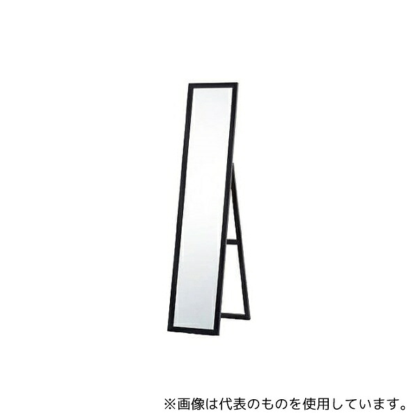 緑であること活動の領域