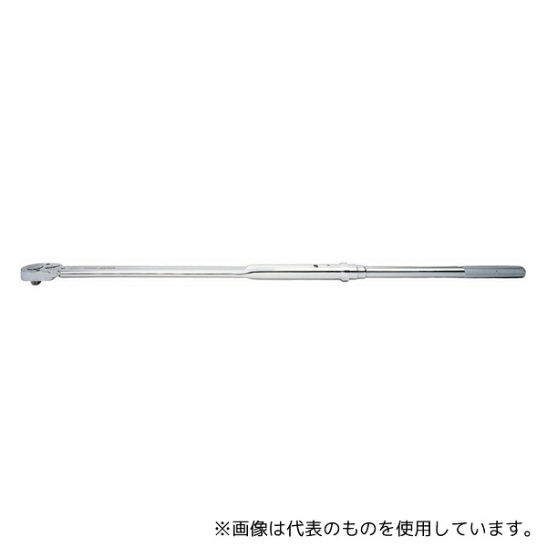 緑であること活動の領域