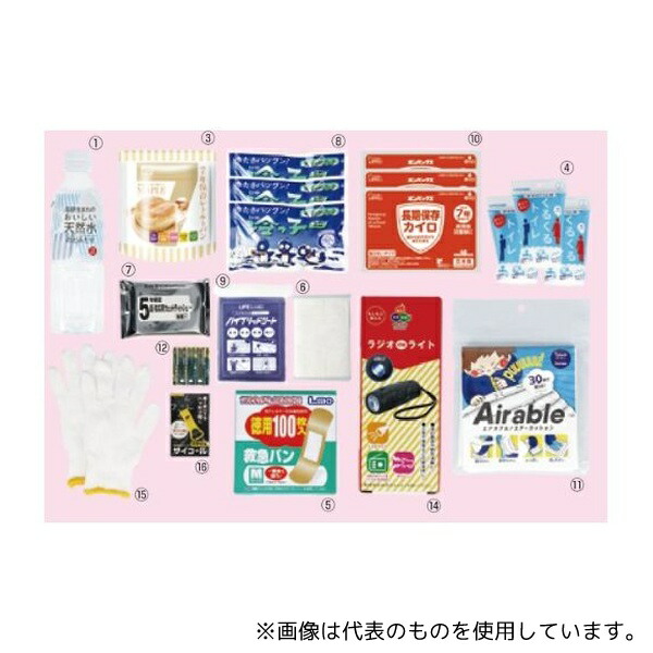 三和製作所(医療・教育) 新・緊急避難セットA リュックタイプ