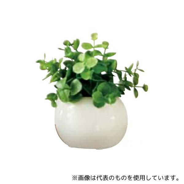 アズワン 61-780-39-4 卓上フェイクグリーン ラウンドポット(光触媒加工) ユーカリ