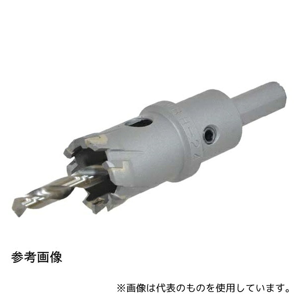 緑であること活動の領域