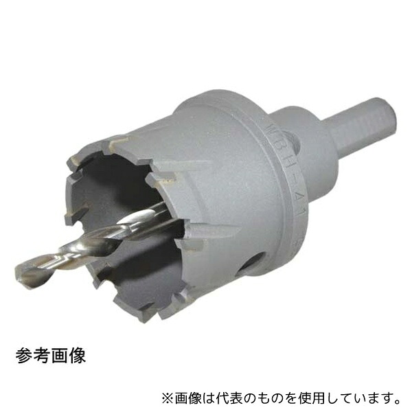 緑であること活動の領域