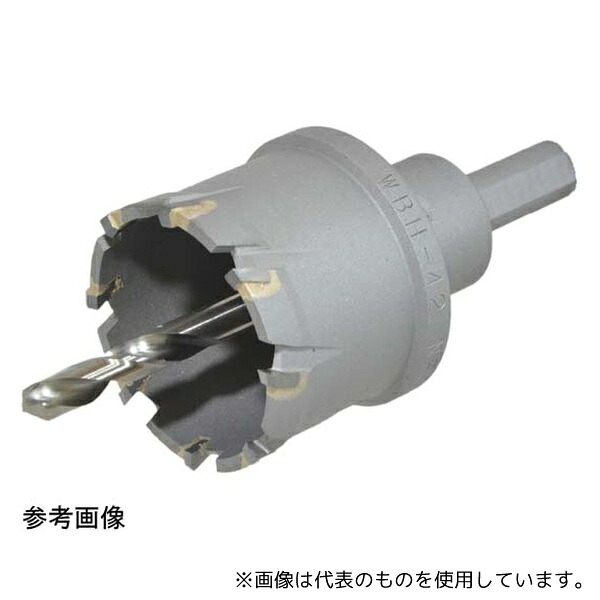 緑であること活動の領域