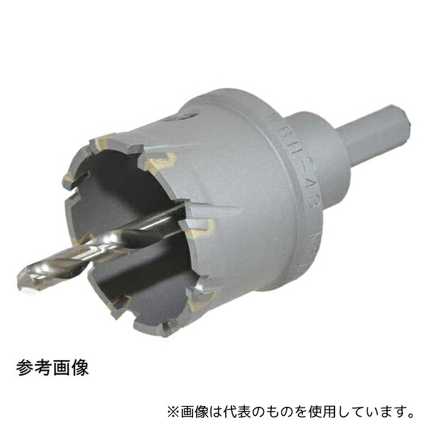 緑であること活動の領域