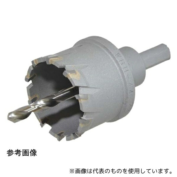 緑であること活動の領域