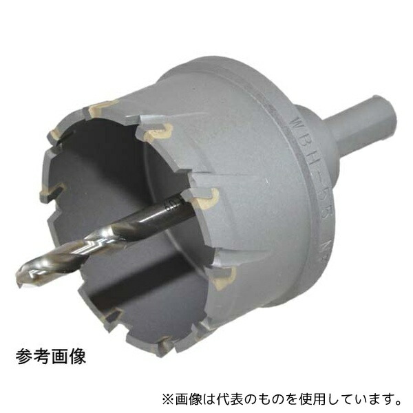 緑であること活動の領域