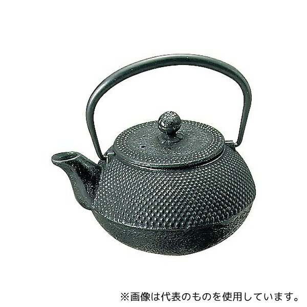 岩鋳 1696201 南部鉄 急須 アラレ 0.3L(3型)12301