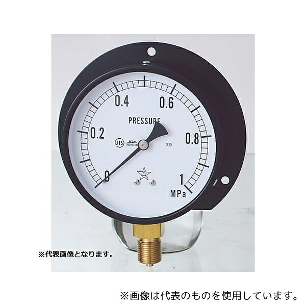 右下精器製造 BVT3/8-100X4MPA 一般圧力計(耐振用)(G421-211-V) 0～4MPa