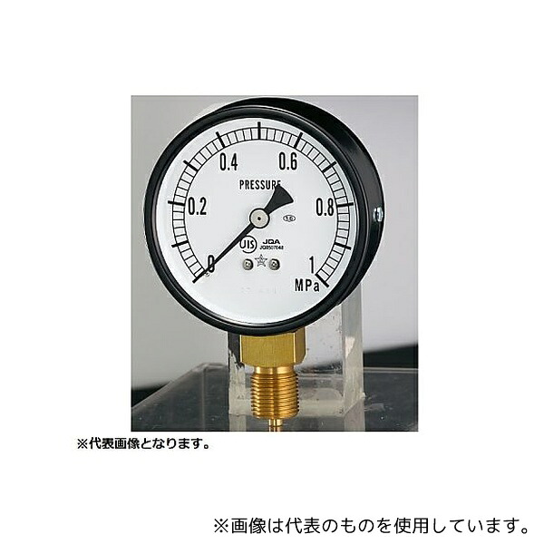 右下精器製造 AMT3/8-75X0.25MPA 一般圧力計(蒸気用)(G311-211-M) 0～0.25MPa