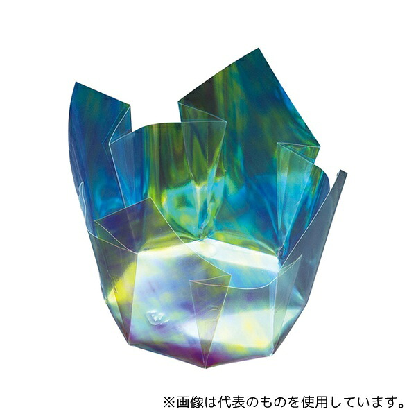 ヤマコー 66404 両面OP珍味入 オーロラ 大 (100枚入)