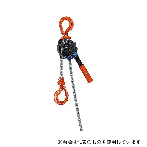 緑であること活動の領域