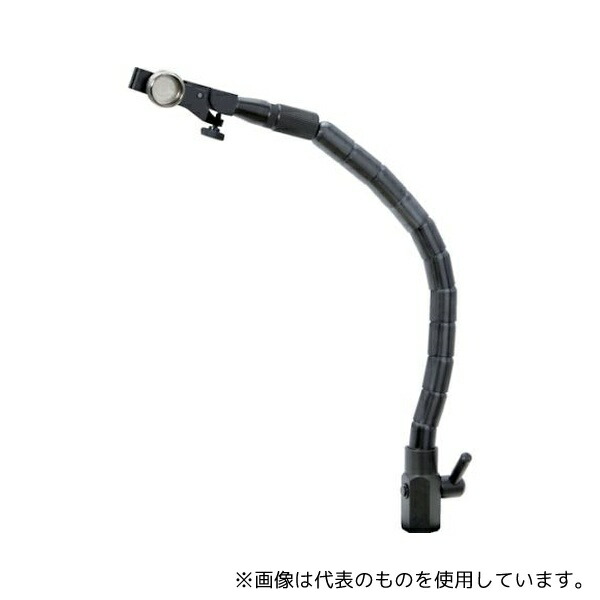 緑であること活動の領域