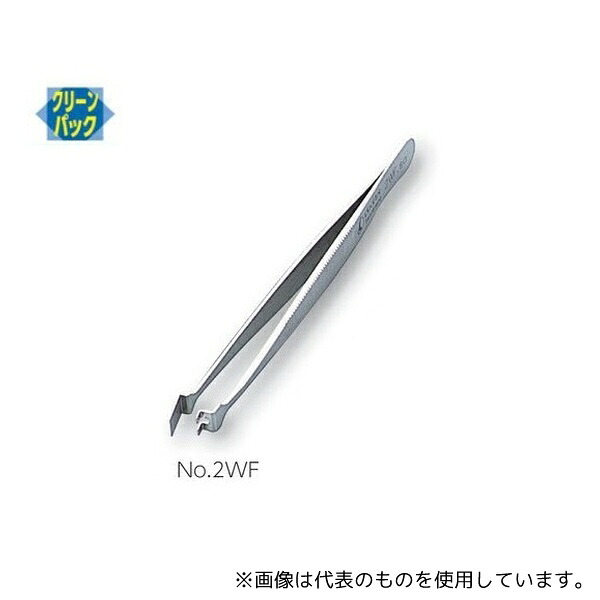 緑であること活動の領域