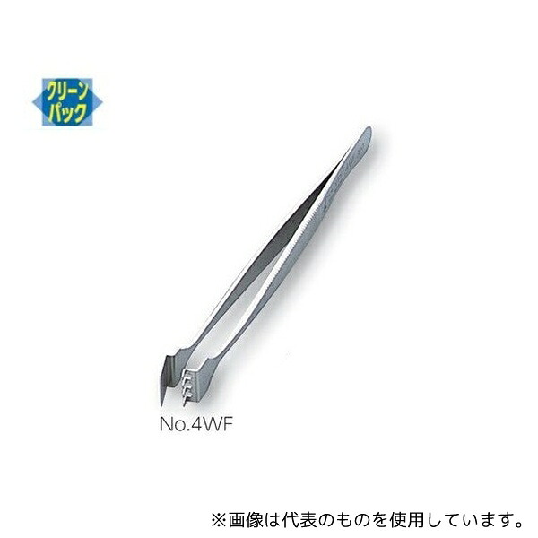 緑であること活動の領域