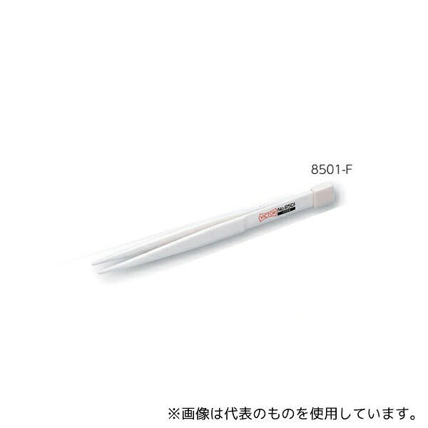 緑であること活動の領域