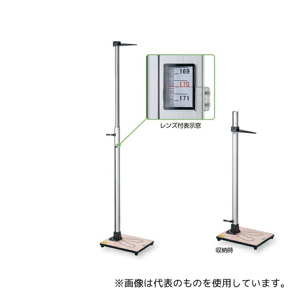 緑であること活動の領域