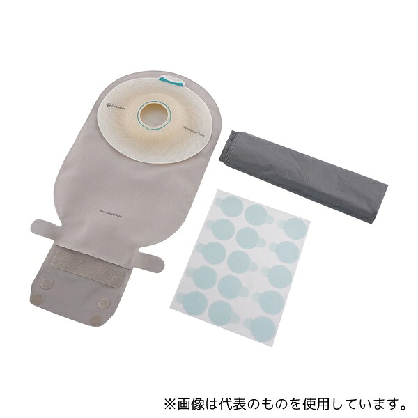緑であること活動の領域