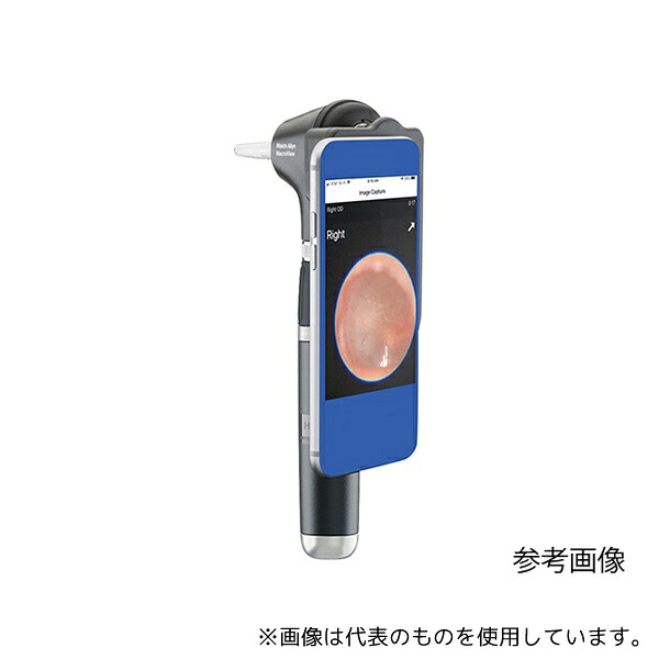 緑であること活動の領域