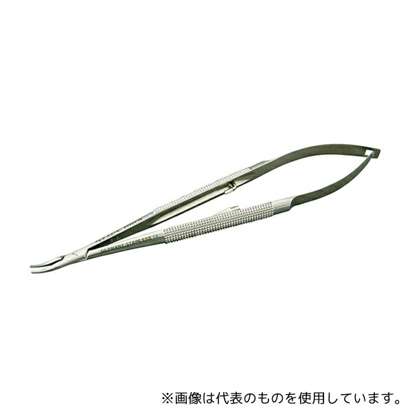 緑であること活動の領域