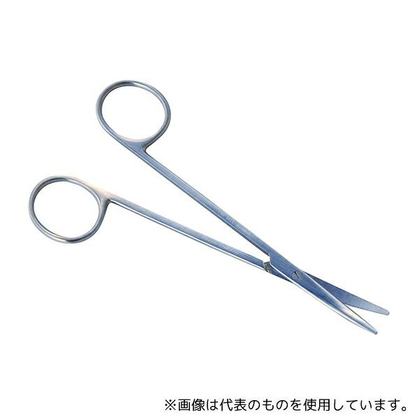 緑であること活動の領域