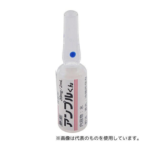 緑であること活動の領域