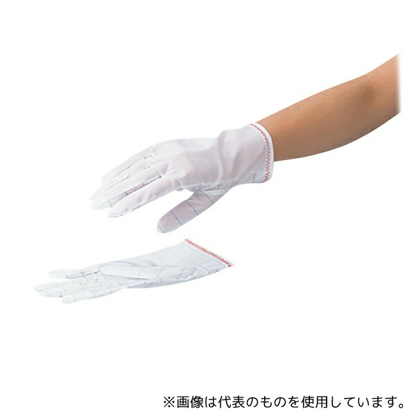 アズワン(AS ONE) 無塵手袋 LL 10双 4096 1袋(10双入り) 5,475円