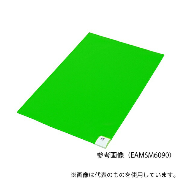 アズワン EAMSM60120 衛生マット 600×1200mm