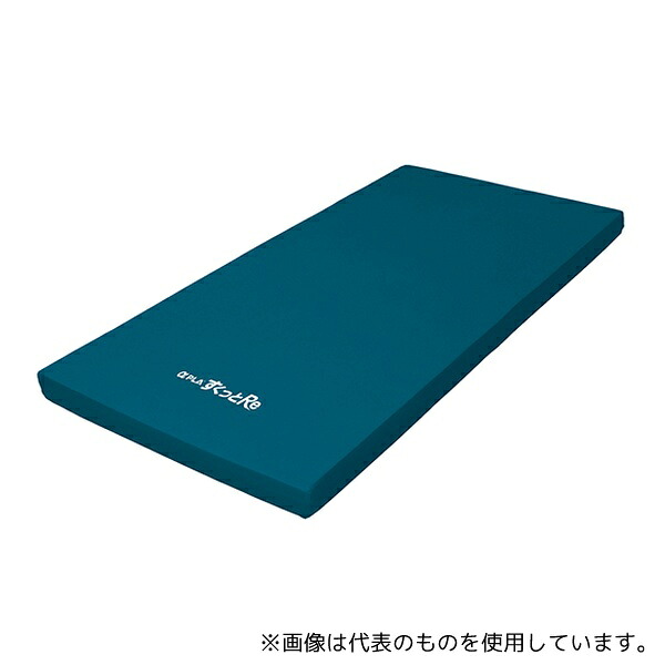 タイカ TS-SKT-ReW3R アルファプラすくっとRe(防水フィルムカバータイプ) 830×1910×80mm 34,964円