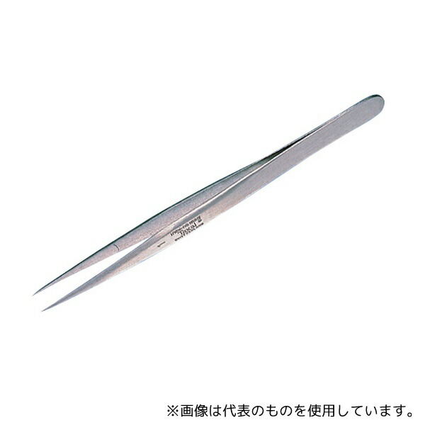 緑であること活動の領域