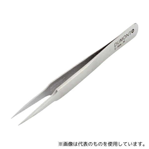 緑であること活動の領域