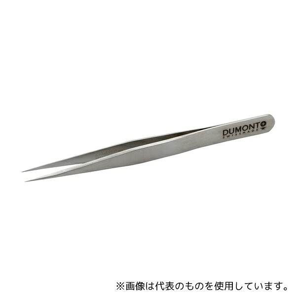 緑であること活動の領域