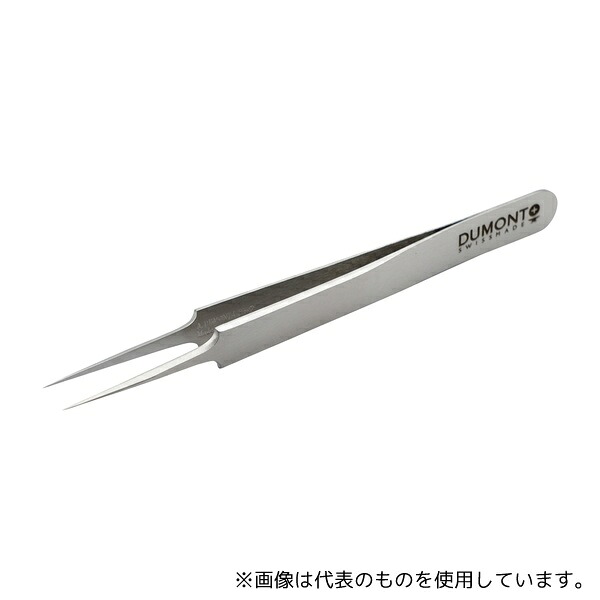 緑であること活動の領域