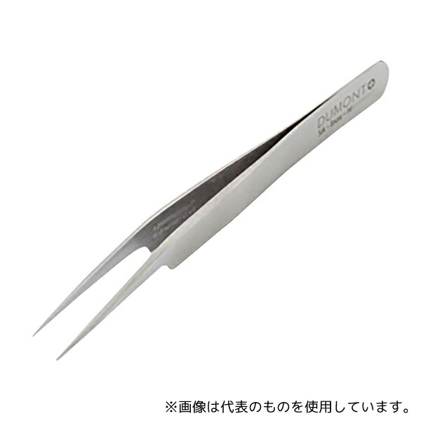 緑であること活動の領域