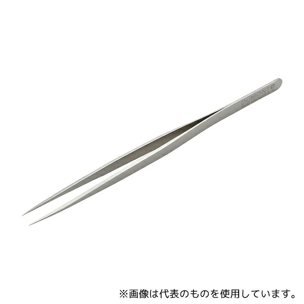 緑であること活動の領域