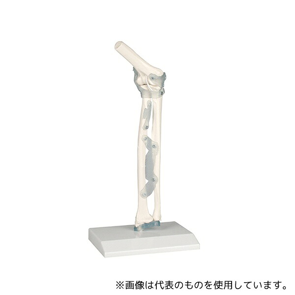 緑であること活動の領域 その他-医薬品・コンタクト・介護
