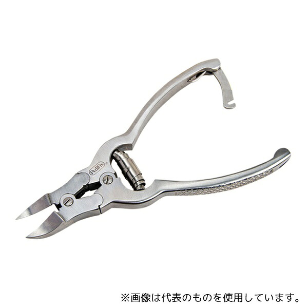 緑であること活動の領域