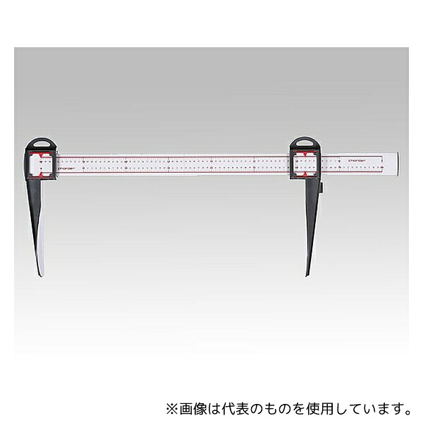 緑であること活動の領域
