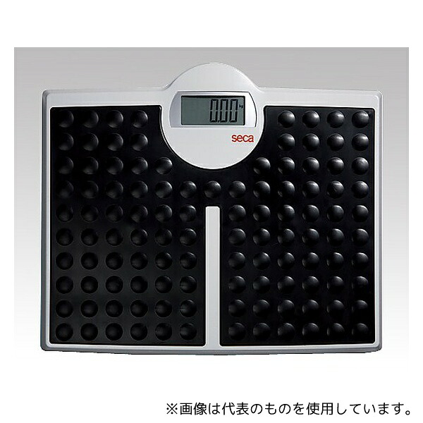 緑であること活動の領域