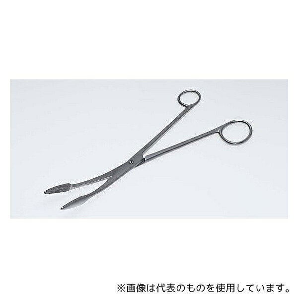 緑であること活動の領域 その他-医薬品・コンタクト・介護