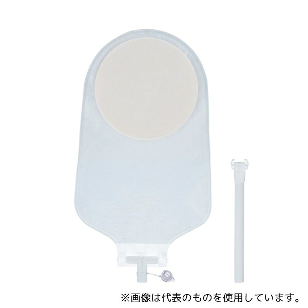 緑であること活動の領域