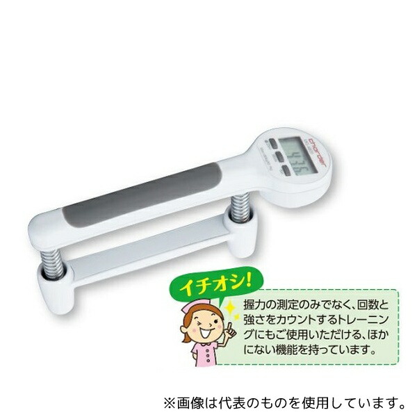 緑であること活動の領域