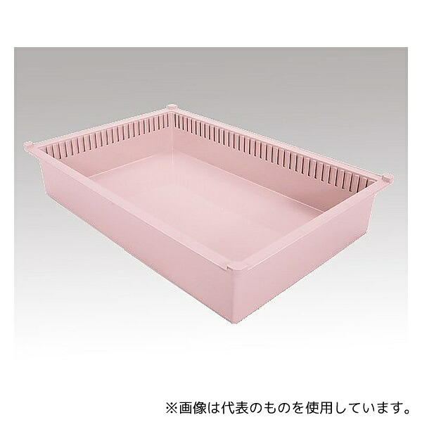 緑であること活動の領域