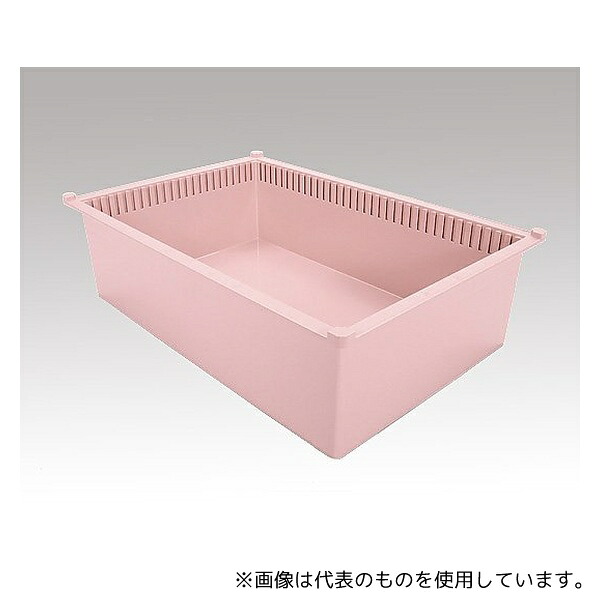 緑であること活動の領域