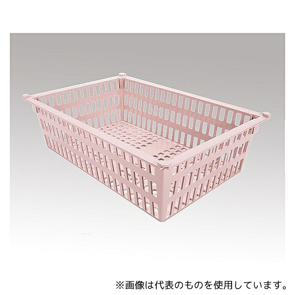 緑であること活動の領域