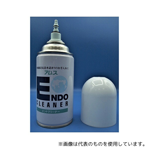 緑であること活動の領域