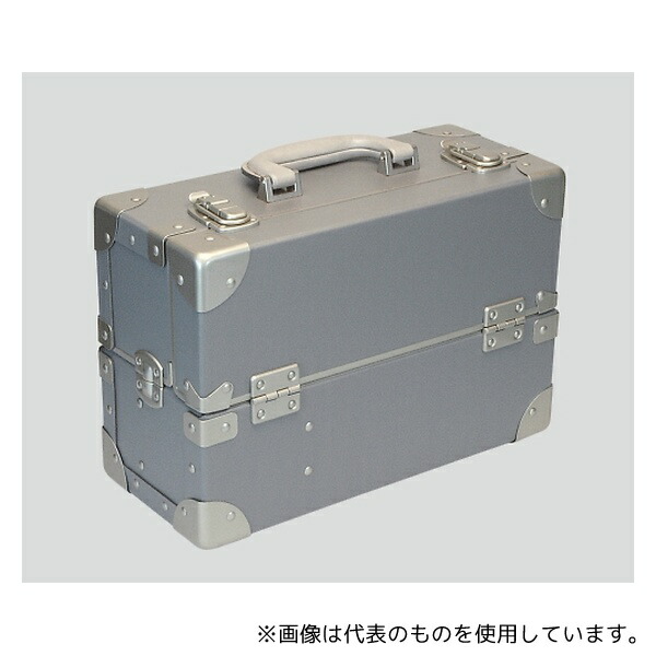 アズワン ID 尊体用メイク剤 グレー