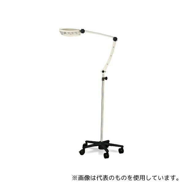 緑であること活動の領域