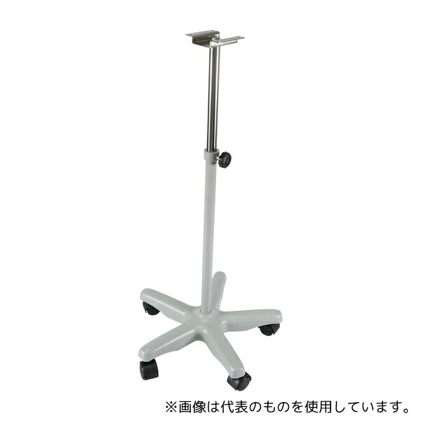 緑であること活動の領域